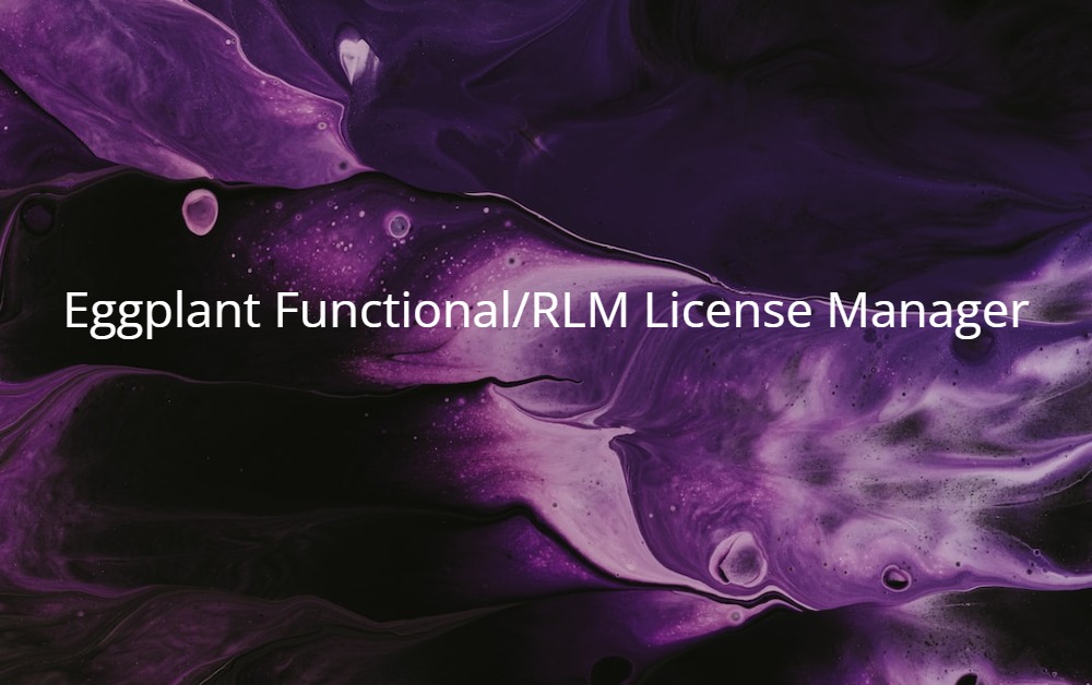 How to setup Eggplant Functional Studio with RLM License Manager and TightVNC on Windows